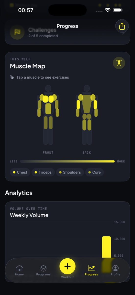 Interactive muscle map